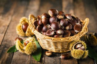 Chestnuts